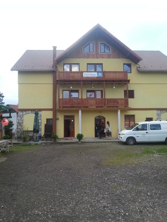 Pensiunea Floare De Colt Borsec Exterior foto