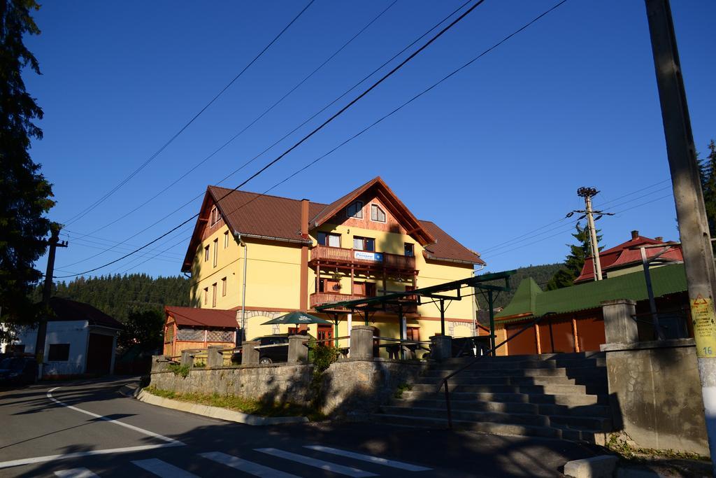 Pensiunea Floare De Colt Borsec Exterior foto
